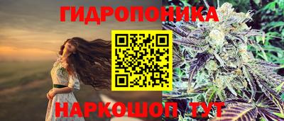 бошки Свободный